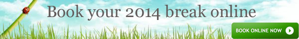 Check availability and book online