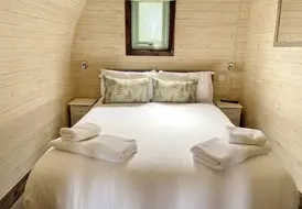 Elm_bed.jpg 5