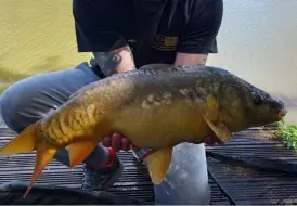 Carp fishing in the UK.jpg 7