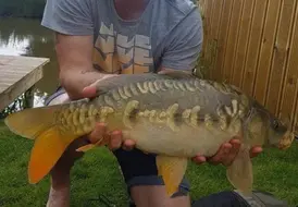 Fishing Guest with Trophy Carp at Mill Farm Leisure Lake 43