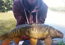 carp-and-tench-fishing-holiday-photo-mill-farm-leisure 55