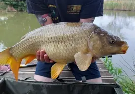 Big Carp Caught at Mill Farm Leisure Fishing Lakes 29