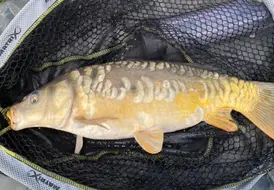 angler-holiday-catch-at-mill-farm-leisure-fishing-lake 57