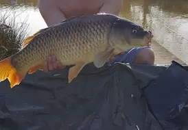 fishing-break-photo-mill-farm-leisure-lakeside-lodges 62