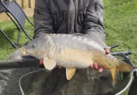 carp-fishing-break-lake-view-cottage-mill-farm 83