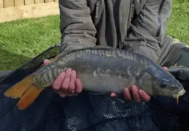 carp-caught-on-romantic-break-mill-farm-leisure 86