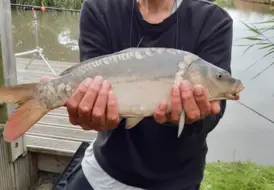 couples-getaway-carp-fishing-photo-mill-farm-leisure 91