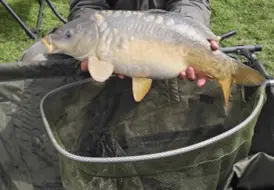 carp-fishing-break-for-couples-mill-farm-leisure 92
