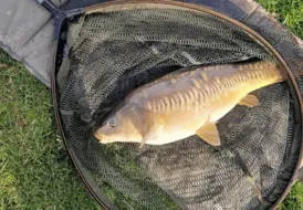 peaceful-carp-fishing-photo-mill-farm-leisure 94
