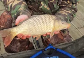 carp-fishing-in-peaceful-surroundings-mill-farm-leisure 95
