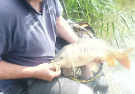 guest-holding-carp-peaceful-fishing-holiday-mill-farm 96