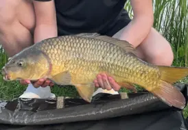 peaceful-countryside-carp-fishing-mill-farm-leisure 97