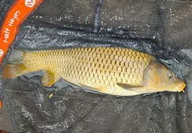 tranquil-carp-fishing-holiday-mill-farm-leisure-lincolnshire 100