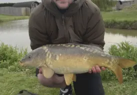 Common Carp Fishing In Lincolnshire 31