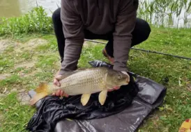 carp-fishing-lodge-dog-friendly-mill-farm-leisure 108