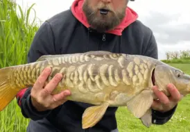 Stunning Mirror Carp Caught At Mill Farm Boston 27