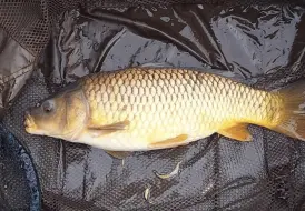Lakeside Fishing Retreats.png 86