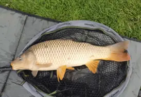 Summer Fishing Holiday In Lincolnshire 24