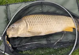 UK Fishing Breaks at Mill Farm 13