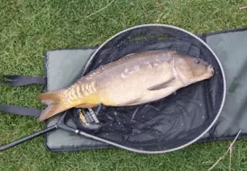 carp-fishing-adults-only-break-mill-farm-leisure 117
