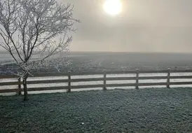 Dog Friendly Winter Breaks.jpg 13