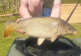 adults-only-carp-fishing-photo-mill-farm-leisure 114