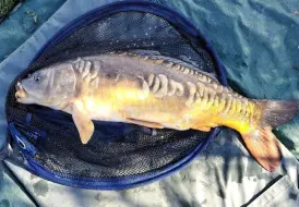 Carp fishing holidays in Lincolnshire.jpg 3