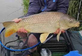 Common Carp fishing holidays in th UK.jpg 1
