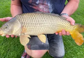 Carp fishing holidays in Wrangle - Boston.jpg 4