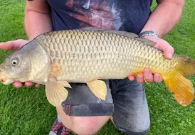 Carp fishing holidays in Wrangle - Boston.jpg 4