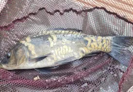 Relaxing fishing lodges with hot tubs in Lincolnshire.jpg 123